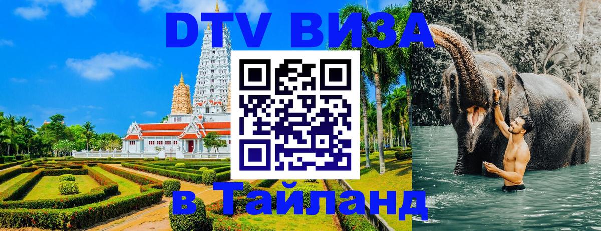 Сколько стоит DTV виза — актуальные цены, оформление даже без документов - 20.11.2025 